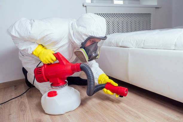 Best Affordable Pest Control Services  in Newton, TX