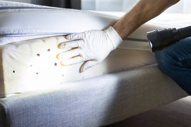 Best Emergency Pest Control  in Newton, TX